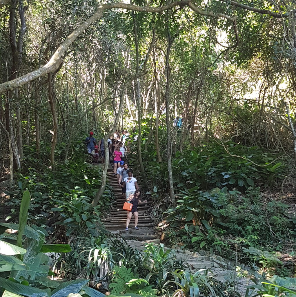 Trilha para o Morro da Uca - Foto de About Rio