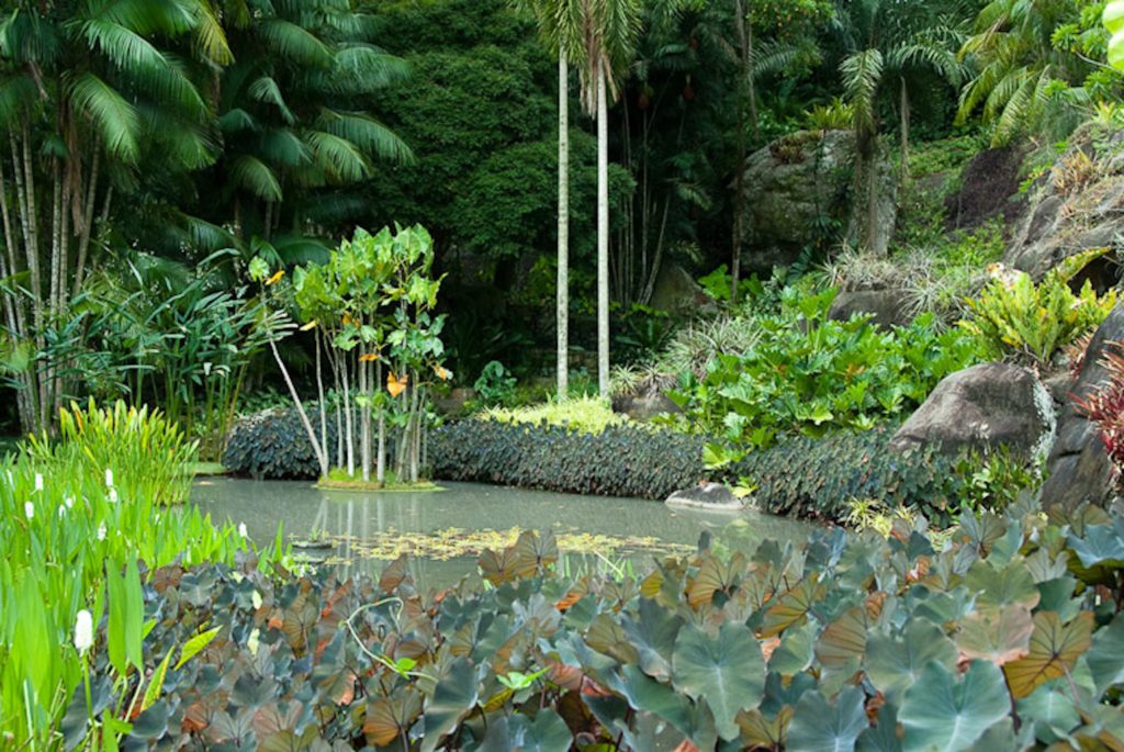 Sítio Burle Marx